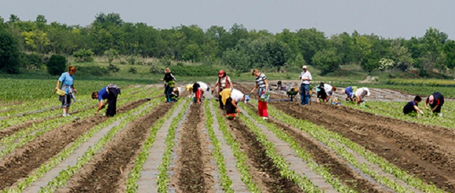 Započela isplata poticaja poljoprivrednicima u ZHŽ-u