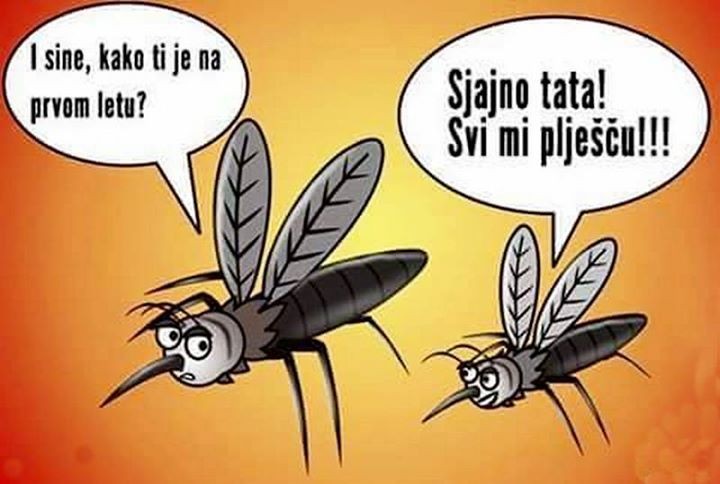 Devet stvari zbog kojih ste neodoljivi komarcima