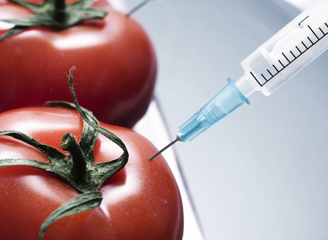Od jeseni u BiH hrana koja ne sadrži GMO bit će javno označena
