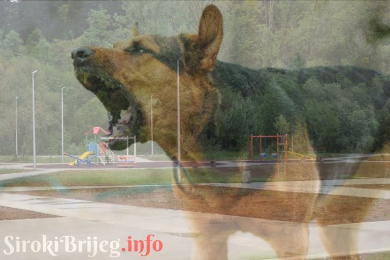 OTVORENO PISMO ČITATELJA: Napad psa na dijete na dječjem igralištu parka Borak u Širokom Brijegu