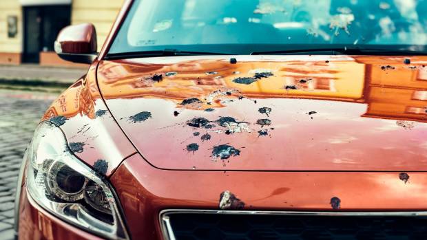 Zračno “bombardiranje”: Važno je što prije očistiti ptičji izmet s obojenih površina automobila!