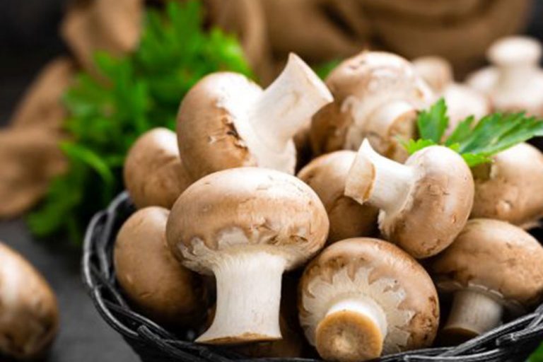 5 stvari koje morate znati o pripremi gljiva
